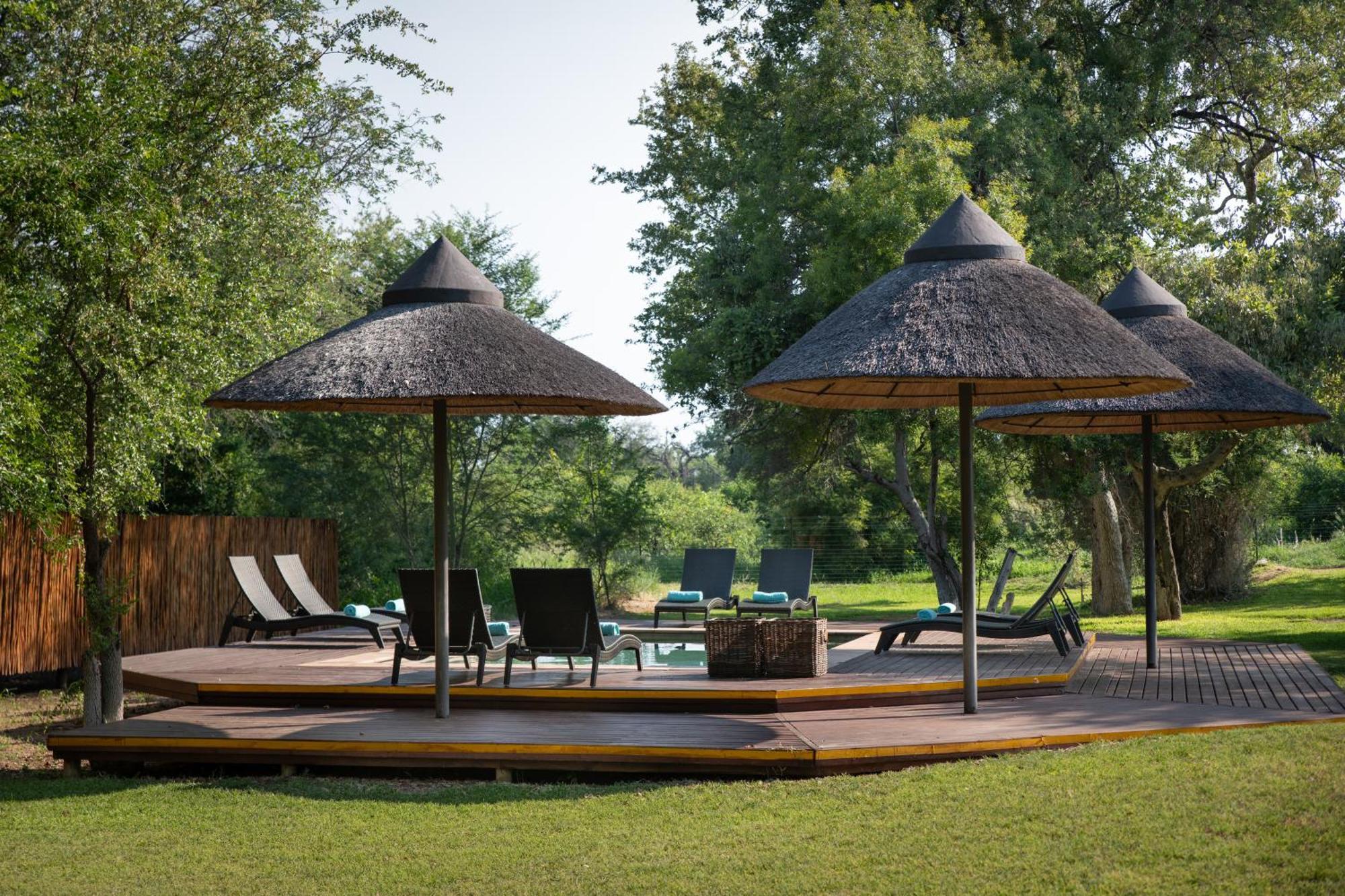 Senalala Safari Lodge Klaserie Private Nature Reserve Eksteriør billede